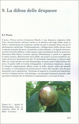 Difesa Fitosanitaria in Ortofrutticoltura Biologica — Libro - 3