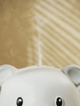 Diffusore a Ultrasuoni in Ceramica Leo - 4