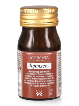 Digenzen+ - 1