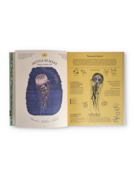 Digestario — Libro - 2