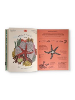 Digestario — Libro - 3
