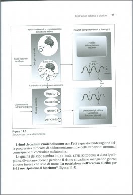 Digiuno e Restrizione Calorica — Libro - 4