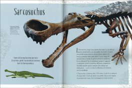 Dinosauri Formidabili — Libro - 3