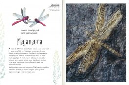 Dinosauri Formidabili — Libro - 4