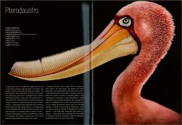 Dinosauri - Profili da un Mondo Perduto — Libro - 3