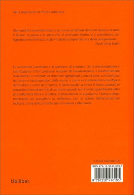 Disponibilità Incondizionata — Libro - 2
