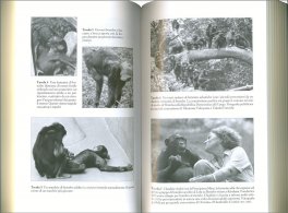Diversi — Libro - 3