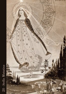 Divine Light - Oracle Cards - 6