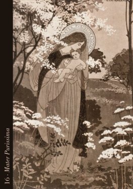 Divine Light - Oracle Cards - 7