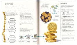 DK La Scienza della Fermentazione — Libro - 3