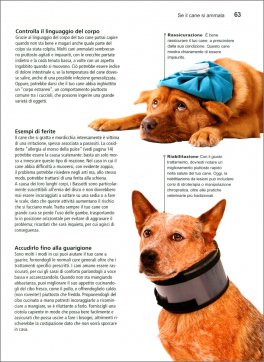 Dog Decoder — Libro - 4