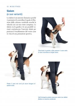 Dog Fitness — Libro - 4