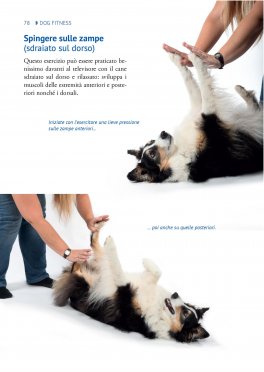 Dog Fitness — Libro - 3