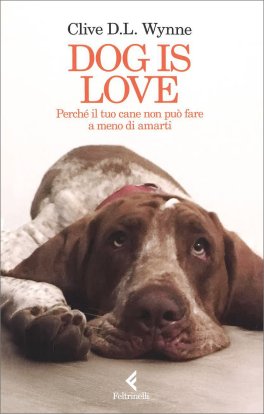 Dog Is Love — Libro - 1
