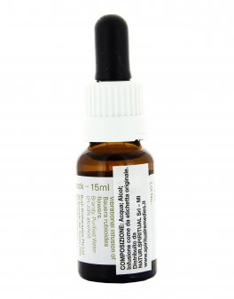 Dog Rose - Essenza Floreale Australiana Singola - 2