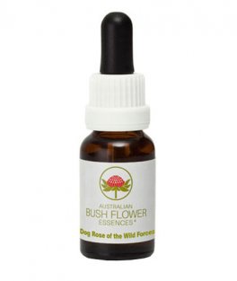 Dog Rose of The Wild Forces - Fiori australiani - 15 ml - 1