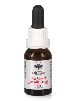 Dog Rose of The Wild Forces - Essenza Floreale Australiana Singola - 1