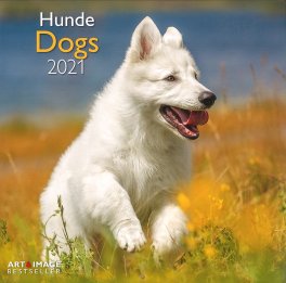 Dogs - 2021