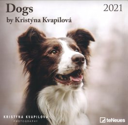 Dogs - 2021
