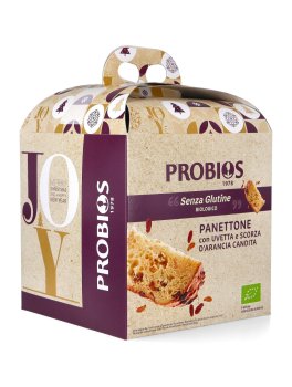 Dolce di Natale con Uvetta e Scorza d'Arancia Candita senza Glutine - 2