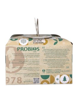 Dolce di Natale Vegan con Uvetta - 2