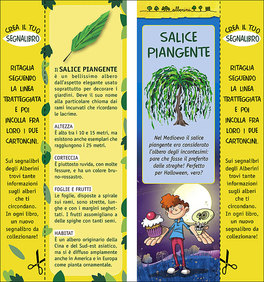 Dolcetto o Scherzetto?  — Libro - 1