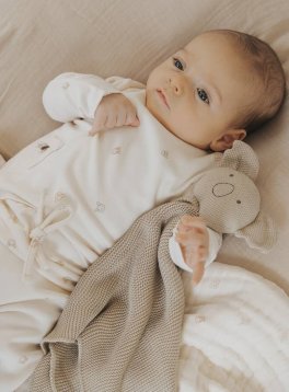 Doudou a Maglia - Koala - 3