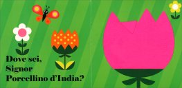 Dove Sei, Signor Gatto? — Libro - 4