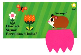 Dove Sei, Signor Gatto? — Libro - 5