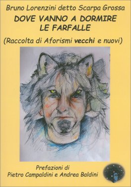 Dove Vanno a Dormire le Farfalle — Libro - 1