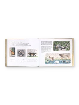 Dove Vanno Quando Piove? — Libro - 3