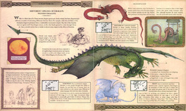 Dragologia - Il Libro Completo dei Draghi — Libro - 3