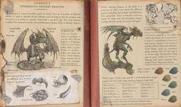 Dragologia - Il Libro Completo dei Draghi — Libro - 4