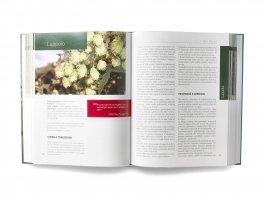 Driope - Trattato di Fitoterapia — Libro - 3