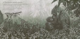 Due Piccoli Gorilla — Libro - 3