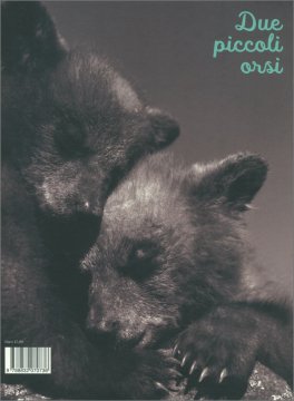 Due Piccoli Orsi — Libro - 2