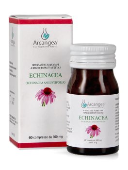 Echinacea - 2