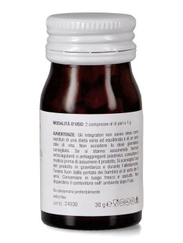 Echinacea - 3
