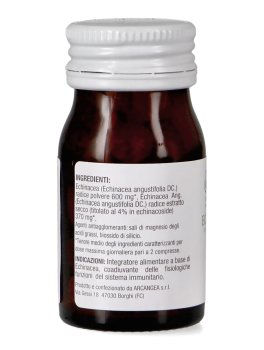 Echinacea - 4