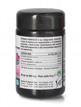 Echinacea - 3