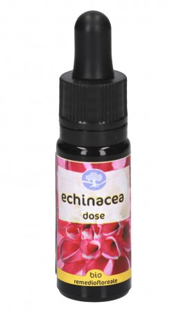 Echinacea - Fiori Californiani - Dose - 1
