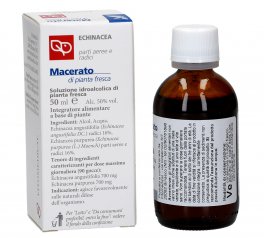 Echinacea - Macerato di Pianta Fresca Bio - 2