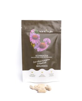Echinacea Purpurea Bio - 3