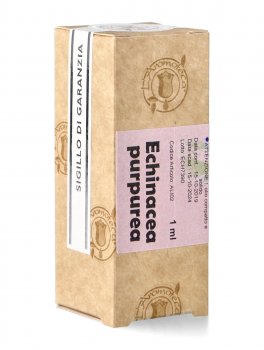 Echinacea Purpurea - Olio Compatto e Solido - 1