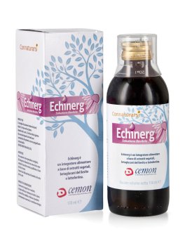 Echinerg - 1