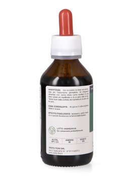 Ecoepat - Ekoestratti - 4