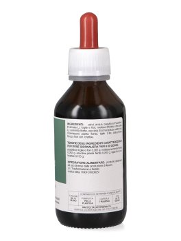 Ecosed - Ekoestratti - 3