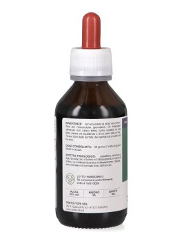 Ecosed - Ekoestratti - 4