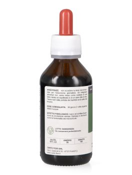 Ecoven - Ekoestratti - 4