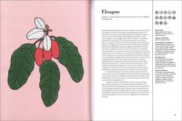 Edibili — Libro - 2